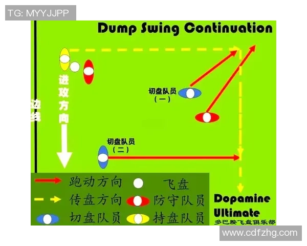 南京飞盘队的反击战术揭秘与深度分析探讨